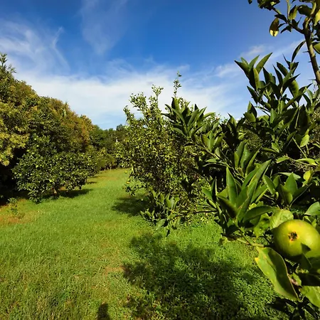 Countryside With Pool * San Sperate