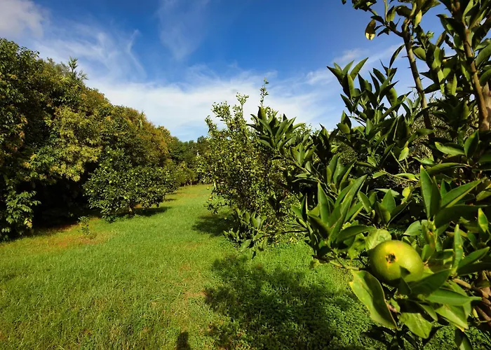 Countryside With Pool * San Sperate